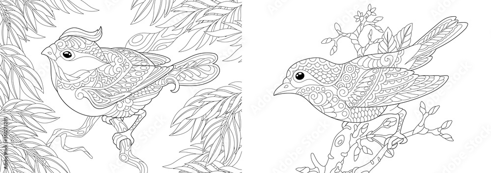 Wall mural Coloring pages with two lovely birds