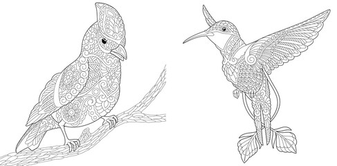 Coloring pages with cardinal bird and hummingbird
