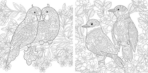 Coloring pages with birds in the garden