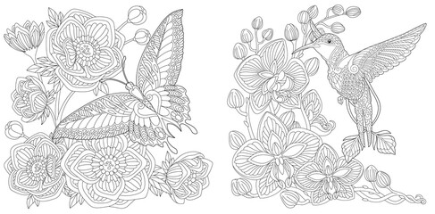 Coloring pages with butterfly and hummingbird
