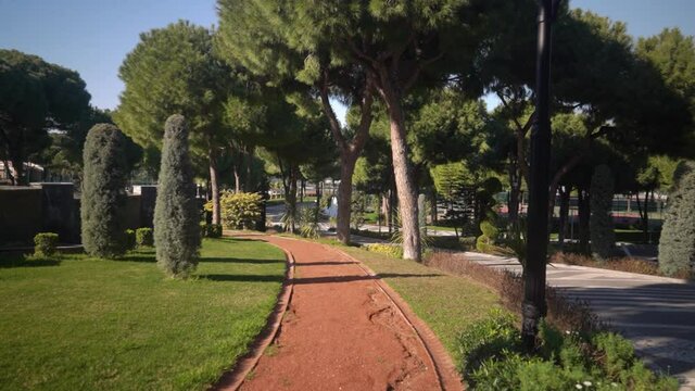 Decorative fountain in a beautiful park . Green trees grow in the background. Landscape design.