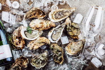 top view of delicious oysters on ice cubes and wine glass