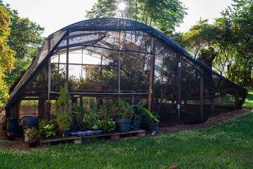 greenhouse for growing orchids and other flowers