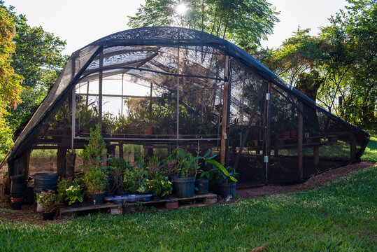 greenhouse for growing orchids and other flowers