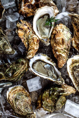 top view of delicious oysters on ice cubes and wine glass