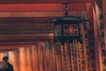 Rows of torii gates in Kyoto