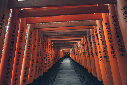 Fushimi Inari Taisha with stone pathway surrounded by red Torii gates and illuminated by traditional lantern