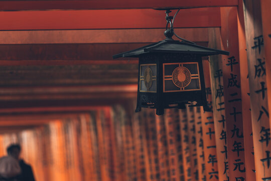 Rows of torii gates in Kyoto