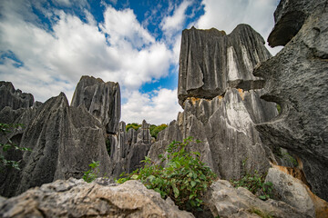 Shilin Stone Forest Yunnan Kunming China