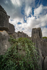 Fototapeta na wymiar Shilin Stone Forest Yunnan Kunming China