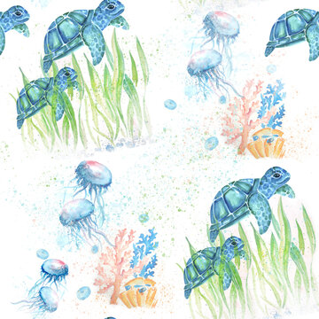 Aquarelle painting of sea medusa sketch art illustration