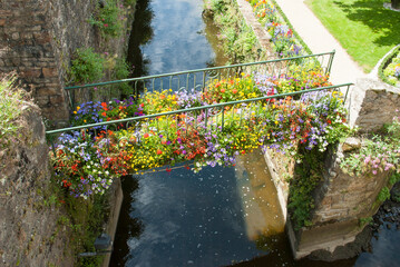 Flower walkway in Vannes © roberto