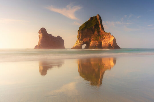 A seal at Wharariki beach with the Archway islands in the background at sunset, Abel Tasman national park, South Island, New Zealand
