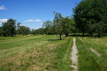 Feldweg