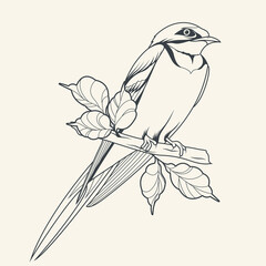 Swallow on a Branch Vector Line Art Drawing Tattoo Design Style 