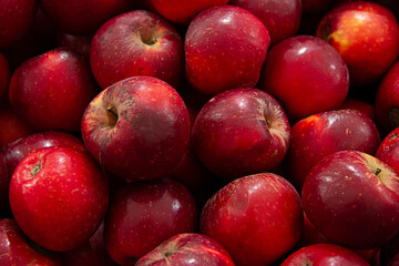 Fototapeta na wymiar Fresh red organic apples in the stock