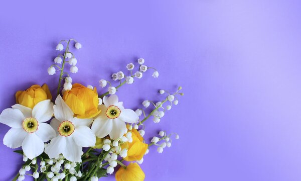 Bright spring flower arrangement. Yellow flowers of trolius europaeus and white daffodils on a lilac background. Bright light colors. Background for spring greeting cards, invitations