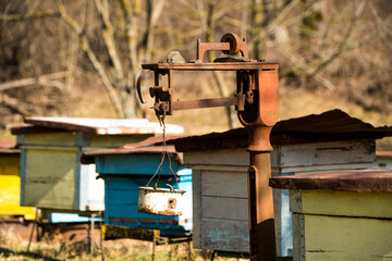 Wooden beehive boxes and metallic constructions