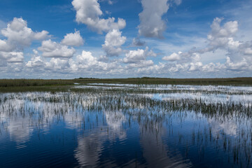 Obraz na płótnie Canvas Reflection of clouds in calm water. Florida wetland, Airboat ride at Everglades National Park in USA. Amazing flatland in national park. Famous landmark and tourist place