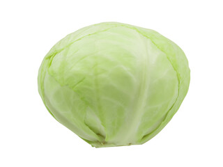 White cabbage on a white isolated background