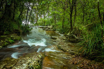 Obraz premium Strumień płynie do szczytu Goomoolahra Falls w Parku Narodowym Springbrook w stanie Queensland