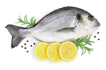 Fish dorado isolated on white background with clipping path and full depth of field. Top view. Flat lay