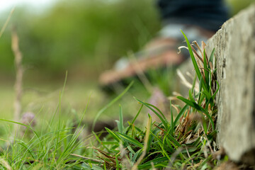 Walking on grass