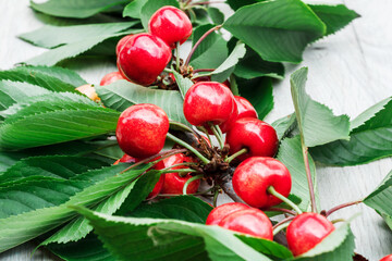 A branch with ripe cherry berries and green leaves lies on a white wooden background. A lot of cherry berries on a branch close-up.