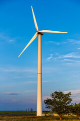 Large windmill for electricity generation.