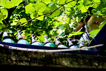 close up image of old glass soda bottle