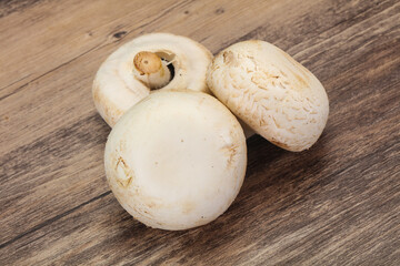 Raw Champignon heap for cooking