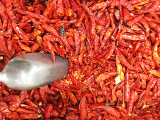 Dried red chili or chilli cayenne pepper