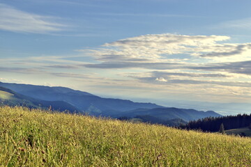 Obraz premium Frühlingslandschaft auf dem Schauinsland bei Freiburg