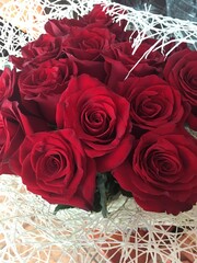 bouquet of red roses