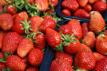 juicy strawberries in a box