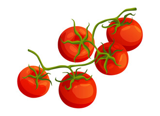 Chery tomato. Fresh healthy red tomato made in flat style. Vegetarian food. Vegetable from the farm. Organic food. Vector illustration of tomato