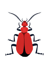red bug vector illustration