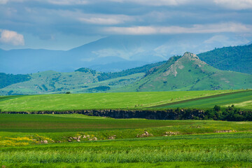 Fototapeta na wymiar Beautiful landscape with field and mountains, Armenia