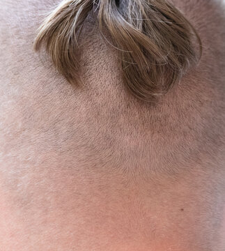 Retratos de ocasi&oacute;n