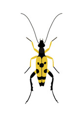 vector illustration of a bug
