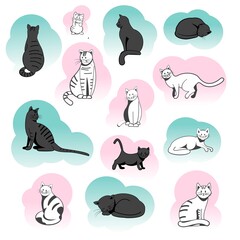 Different breeds of cats in different poses and different colors. Set of cats in a flat vector style.