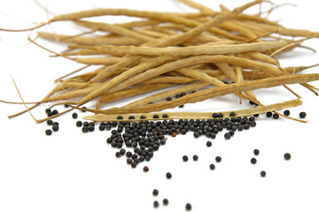 Reife Rapskörner isoliert vor weißem Hintergrund