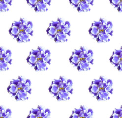 Naklejka na ściany i meble Seamless pattern with violet flowers on a white background. Design for packaging, fabric, Wallpaper, napkins, textiles, backgrounds.