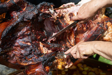 Chef Hands cutting whole grilled pork for steaks with knife. Pig grilled traditional coal and fire....