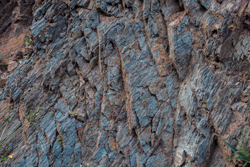 background of rust of breeds