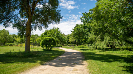 Fototapeta na wymiar Pathway through the green park