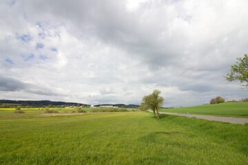 Fototapeta na wymiar Road throught the green meadows of czech countryside