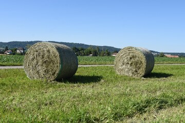 Straw bales in the field collecting during harvesting in Switzerland  countryside during sunny day
