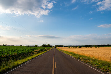 Fototapeta na wymiar road between fields in the country