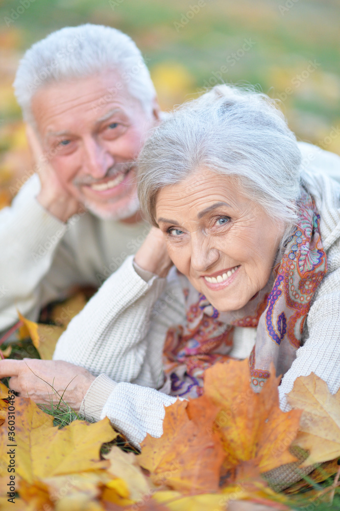 Sticker Close up portrait of happy senior couple lying in park